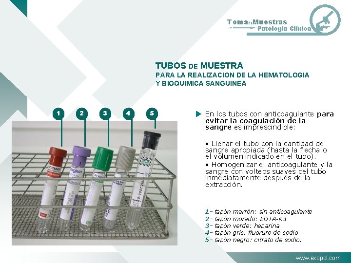 Tomade. Muestras Patología Clínica TUBOS DE MUESTRA PARA LA REALIZACION DE LA HEMATOLOGIA Y