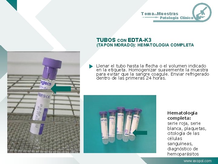 Tomade. Muestras Patología Clínica TUBOS CON EDTA-K 3 (TAPON MORADO): HEMATOLOGIA COMPLETA Llenar el