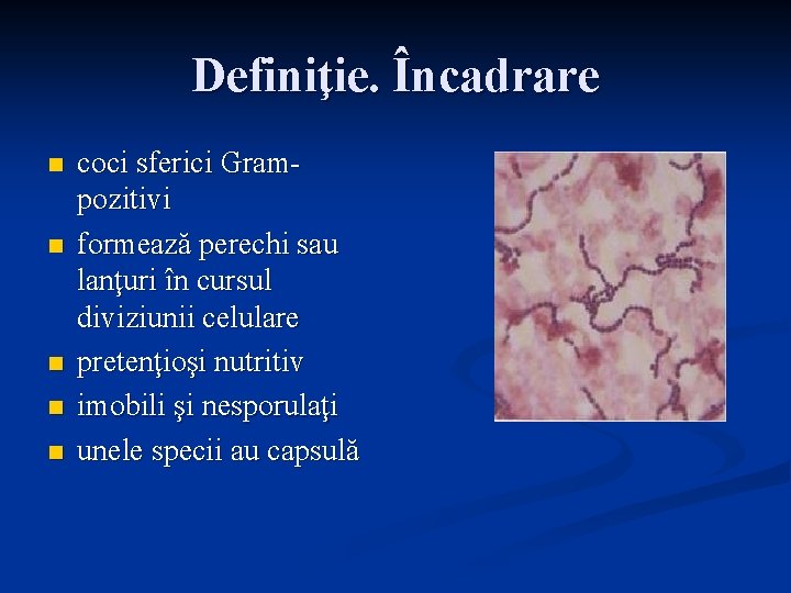 Definiţie. Încadrare n n n coci sferici Grampozitivi formează perechi sau lanţuri în cursul