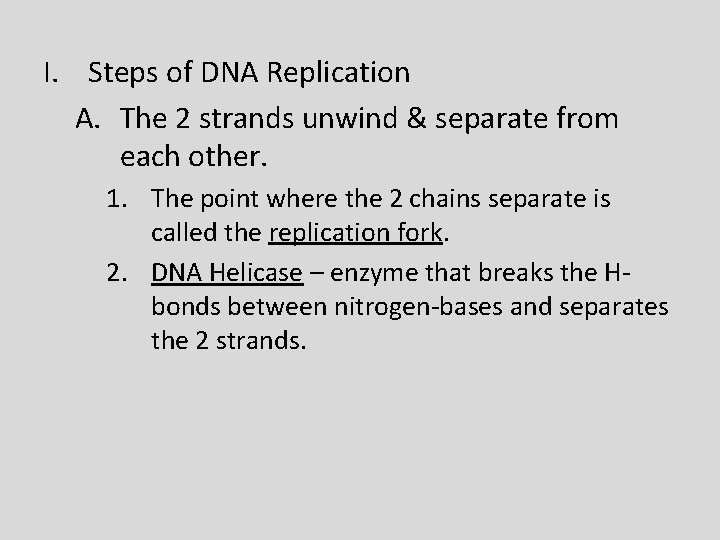 I. Steps of DNA Replication A. The 2 strands unwind & separate from each