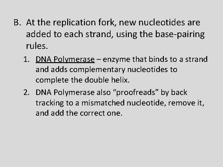 B. At the replication fork, new nucleotides are added to each strand, using the