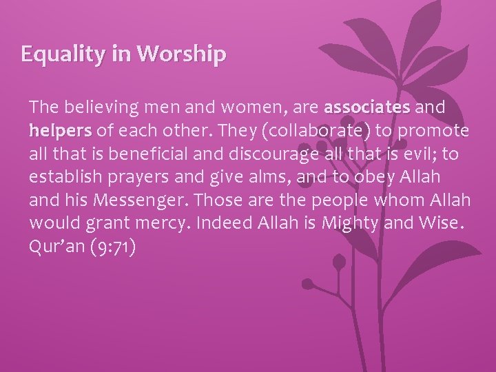 Equality in Worship The believing men and women, are associates and helpers of each