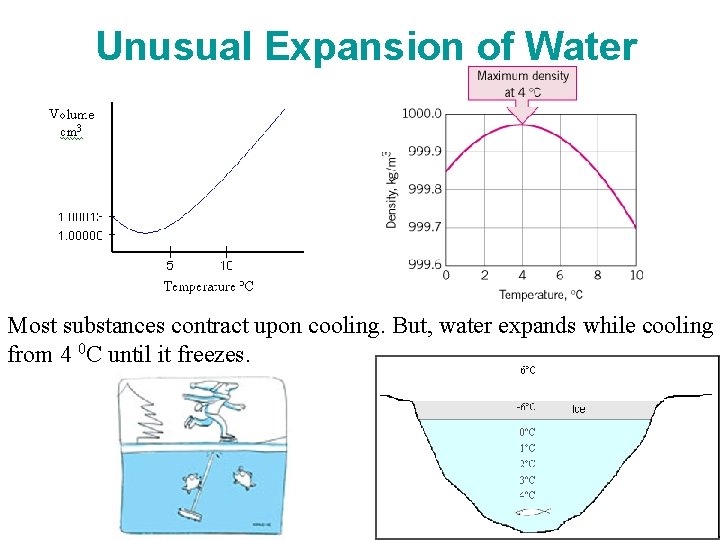 Unusual Expansion of Water Most substances contract upon cooling. But, water expands while cooling