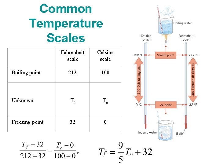 Common Temperature Scales Boiling point Unknown Fahrenheit scale Celsius scale 212 100 Tf Tc