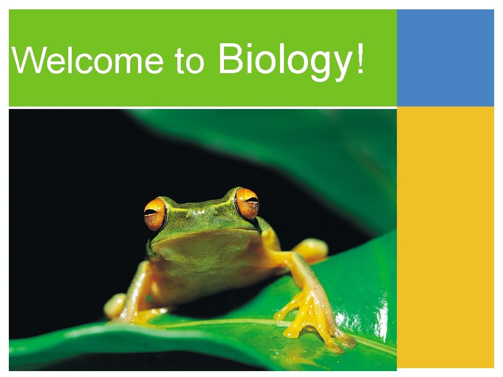 Welcome to Biology! 