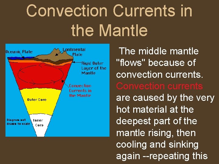 Convection Currents in the Mantle The middle mantle "flows" because of convection currents. Convection