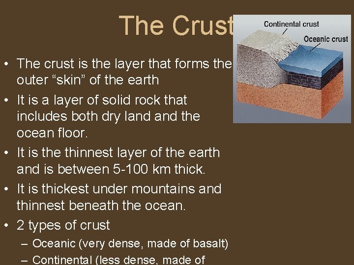 The Crust • The crust is the layer that forms the outer “skin” of