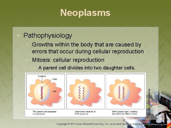 Neoplasms • Pathophysiology − Growths within the body that are caused by errors that