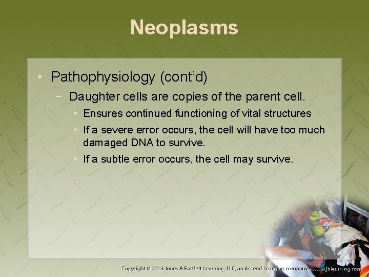 Neoplasms • Pathophysiology (cont’d) − Daughter cells are copies of the parent cell. •