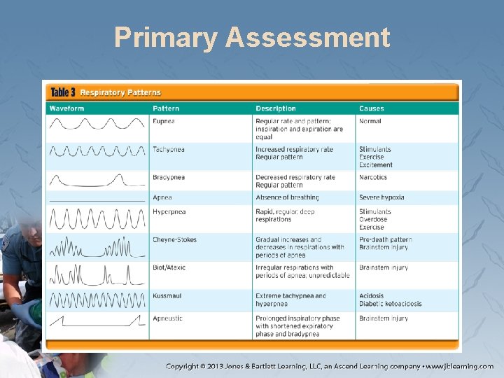 Primary Assessment 