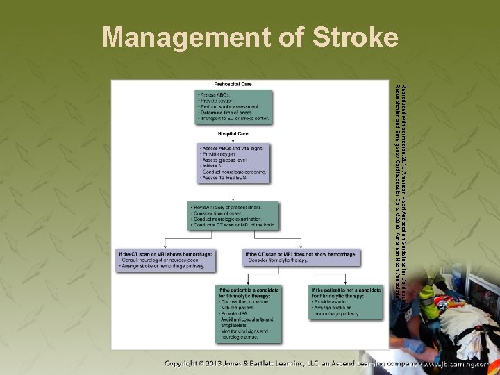 Management of Stroke Reproduced with permission, 2010 American Heart Association Guidelines for Cardiopulmonary Resuscitation