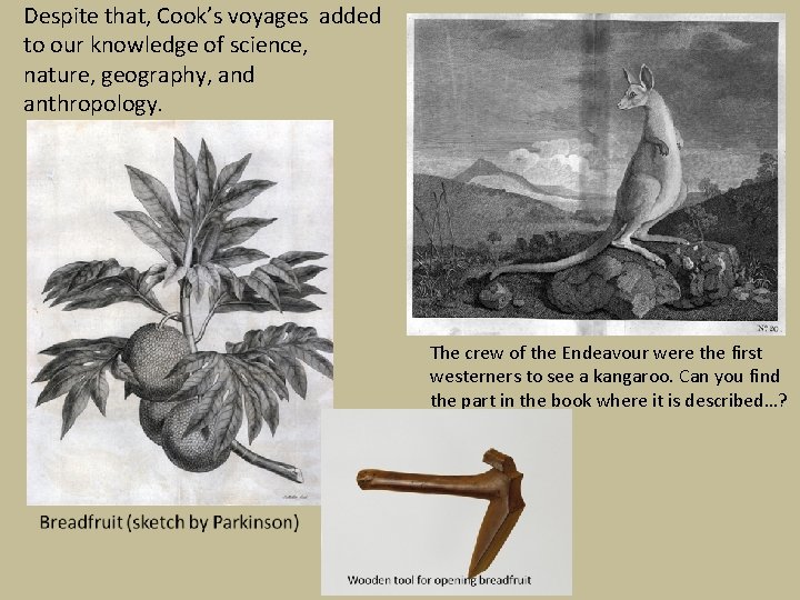 Despite that, Cook’s voyages added to our knowledge of science, nature, geography, and anthropology.