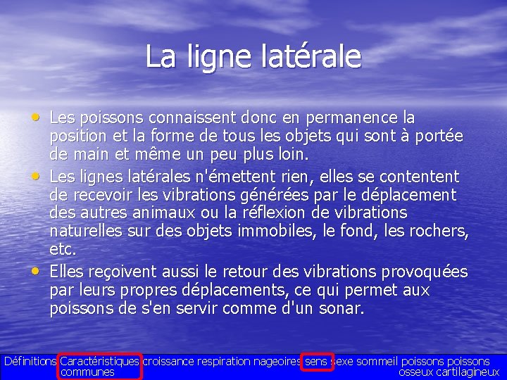 La ligne latérale • Les poissons connaissent donc en permanence la • • position