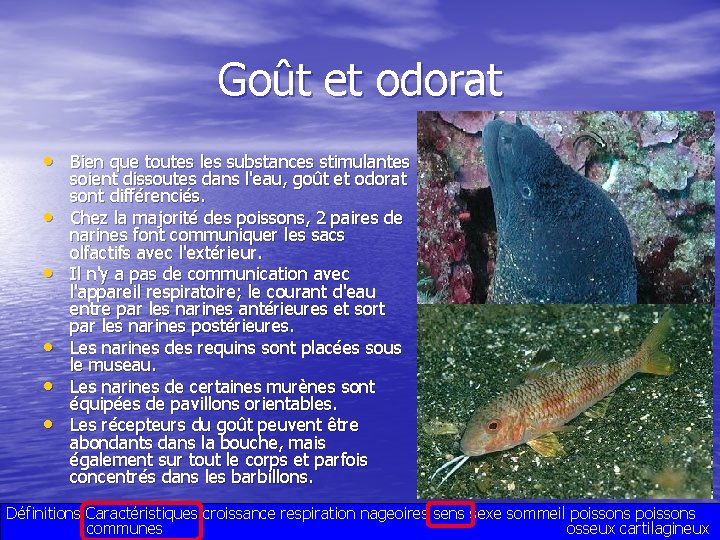 Goût et odorat • Bien que toutes les substances stimulantes • • • soient