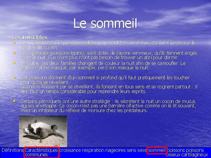 Le sommeil Les invincibles • Les Tétraodontidés (poissons-ballons), qui sont très vénéneux, dorment posés