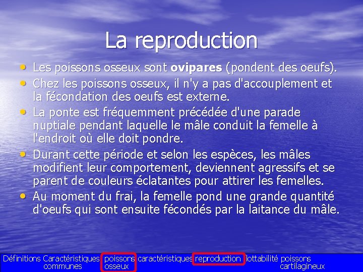 La reproduction • Les poissons osseux sont ovipares (pondent des oeufs). • Chez les