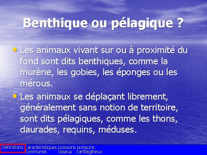 Benthique ou pélagique ? • Les animaux vivant sur ou à proximité du fond