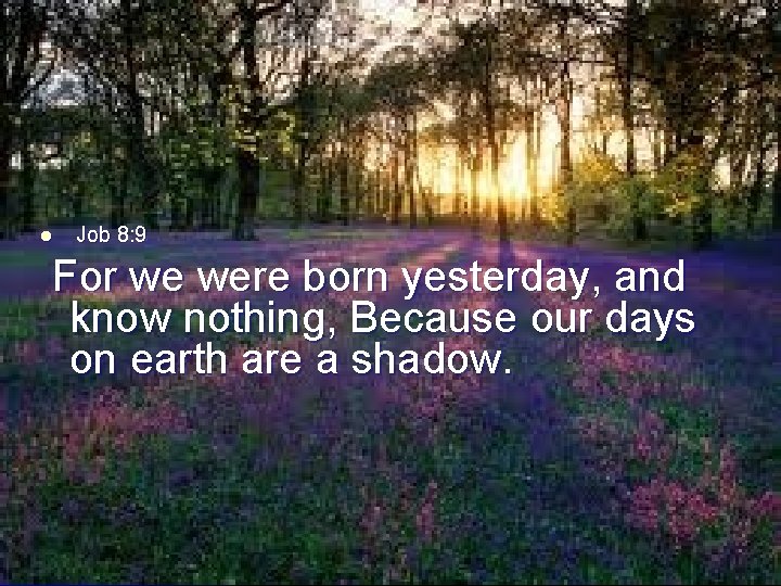 l Job 8: 9 For we were born yesterday, and know nothing, Because our