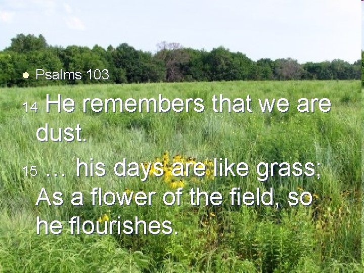 l Psalms 103 He remembers that we are dust. 15 … his days are