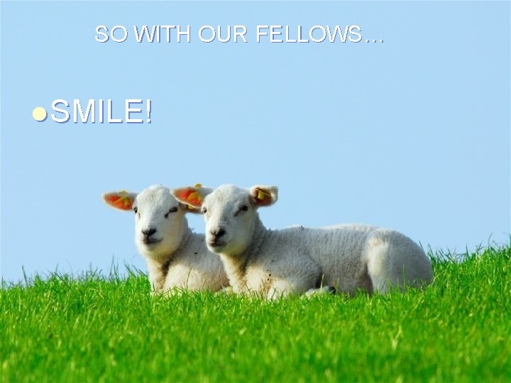 SO WITH OUR FELLOWS… l SMILE! 
