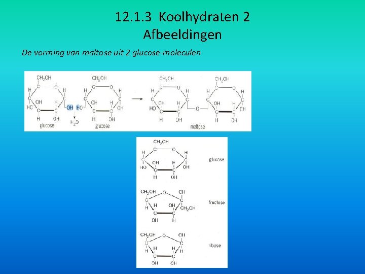 12. 1. 3 Koolhydraten 2 Afbeeldingen De vorming van maltose uit 2 glucose-moleculen 
