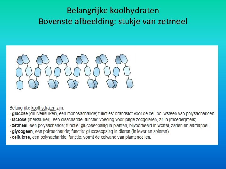 Belangrijke koolhydraten Bovenste afbeelding: stukje van zetmeel 