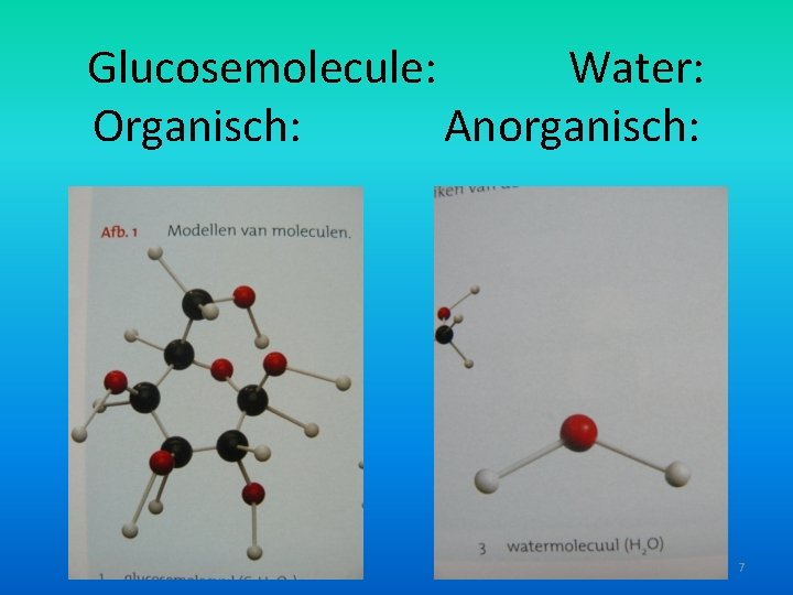 Glucosemolecule: Water: Organisch: Anorganisch: 7 