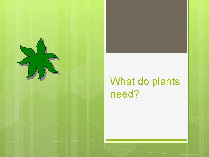 What do plants need? 