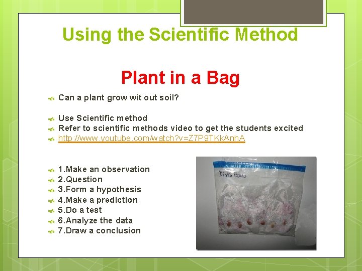 Using the Scientific Method Plant in a Bag Can a plant grow wit out