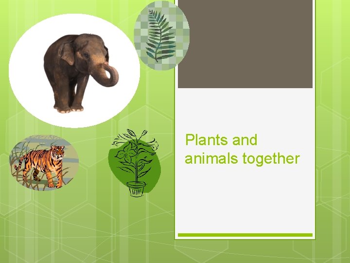 Plants and animals together 