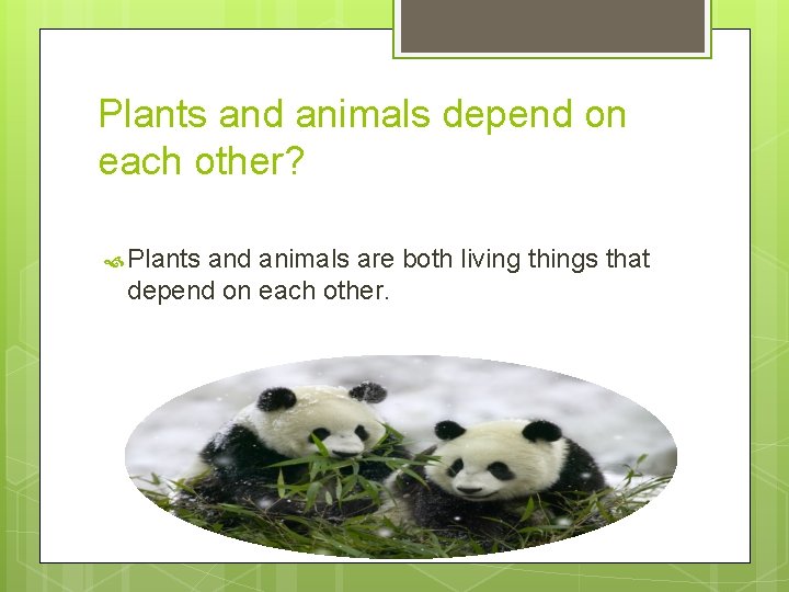 Plants and animals depend on each other? Plants and animals are both living things