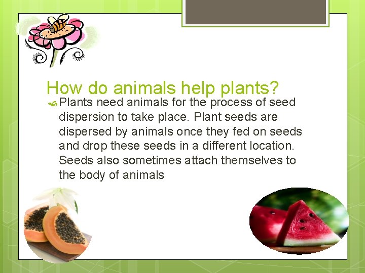 How do animals help plants? Plants need animals for the process of seed dispersion