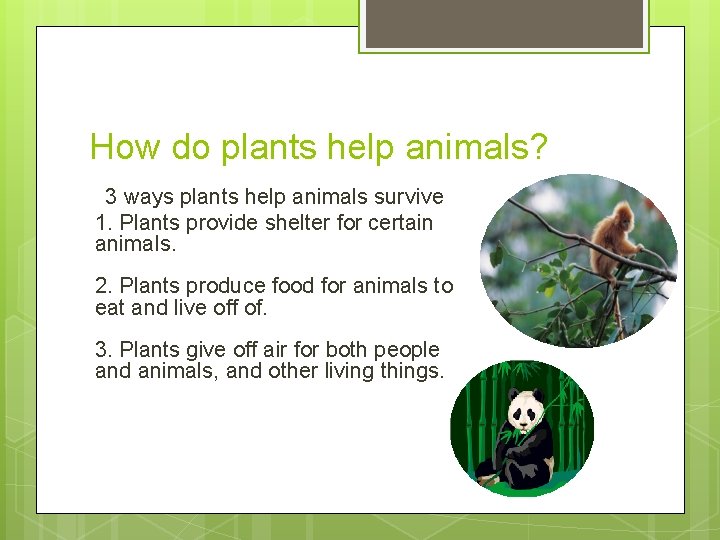 How do plants help animals? 3 ways plants help animals survive 1. Plants provide