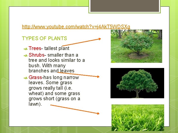 http: //www. youtube. com/watch? v=j 4 Ak. T 5 WDSXg TYPES OF PLANTS Trees-