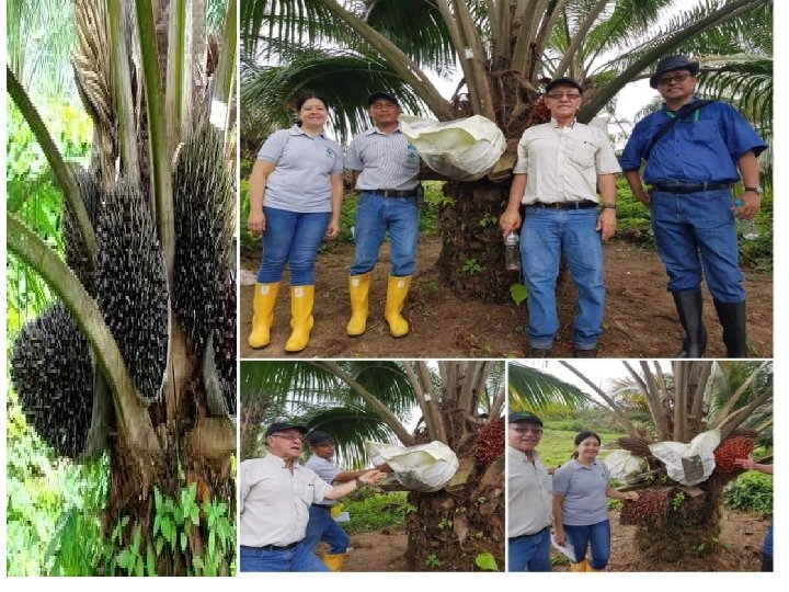 copyright by eshalimi@yahoo. com 