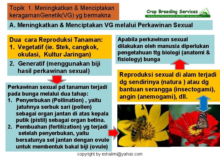 Topik 1. Meningkatkan & Menciptakan keragaman. Genetik(VG) yg bermakna A. Meningkatkan & Menciptakan VG