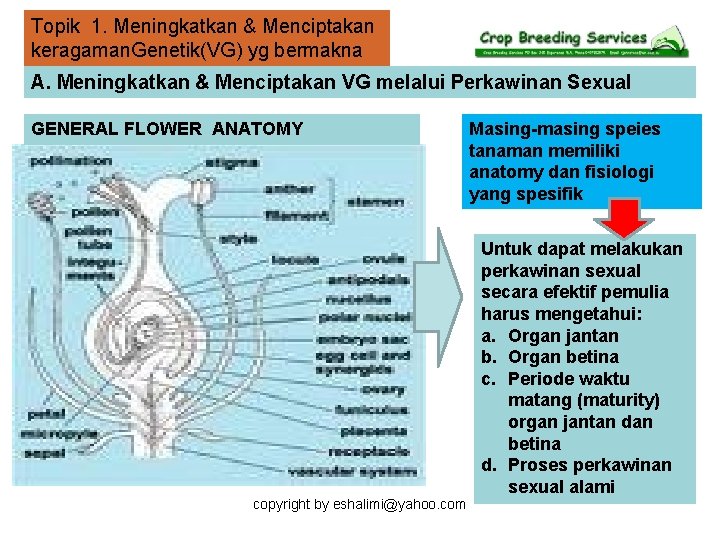 Topik 1. Meningkatkan & Menciptakan keragaman. Genetik(VG) yg bermakna A. Meningkatkan & Menciptakan VG