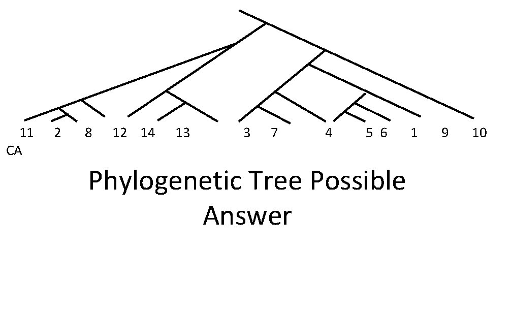 11 CA 2 8 12 14 13 3 7 4 5 6 Phylogenetic Tree