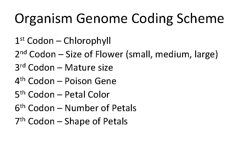 Organism Genome Coding Scheme st 1 Codon – Chlorophyll 2 nd Codon – Size