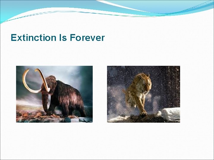 Extinction Is Forever 