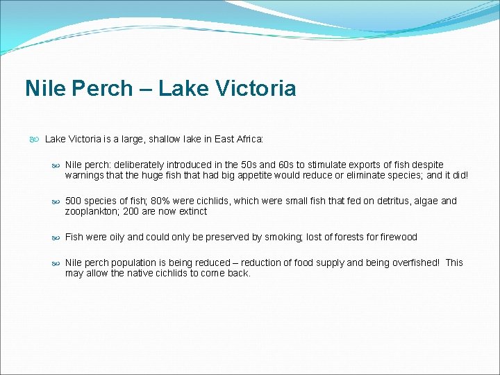 Nile Perch – Lake Victoria is a large, shallow lake in East Africa: Nile