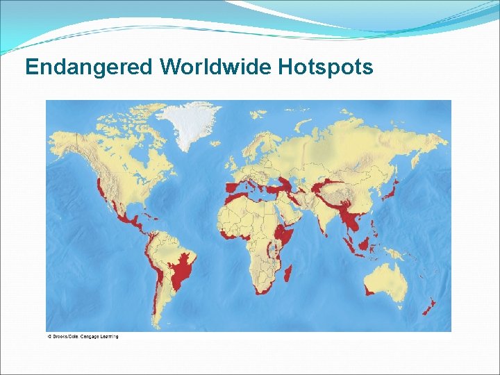 Endangered Worldwide Hotspots 