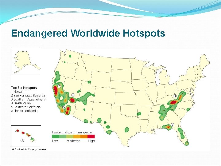 Endangered Worldwide Hotspots 