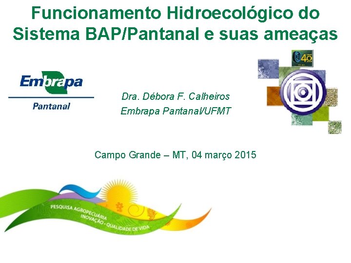 Funcionamento Hidroecológico do Sistema BAP/Pantanal e suas ameaças Dra. Débora F. Calheiros Embrapa Pantanal/UFMT
