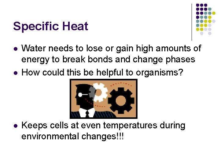 Specific Heat l l l Water needs to lose or gain high amounts of Specific Heat l l l Water needs to lose or gain high amounts of