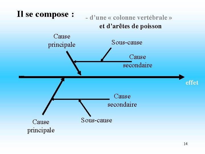 Il se compose : Cause principale - d’une « colonne vertébrale » et d’arêtes