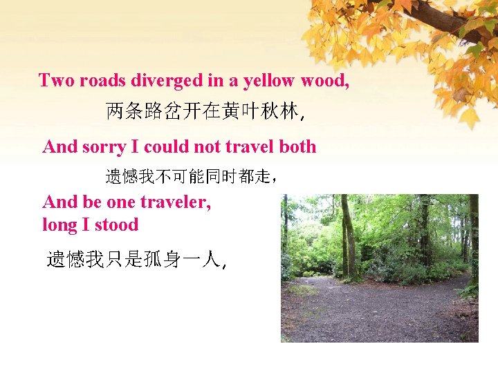 Two roads diverged in a yellow wood, 两条路岔开在黄叶秋林, And sorry I could not travel
