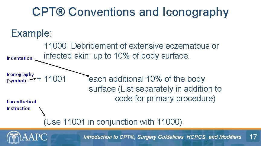 CPT® Conventions and Iconography Example: Indentation Iconography (Symbol) Parenthetical Instruction 11000 Debridement of extensive