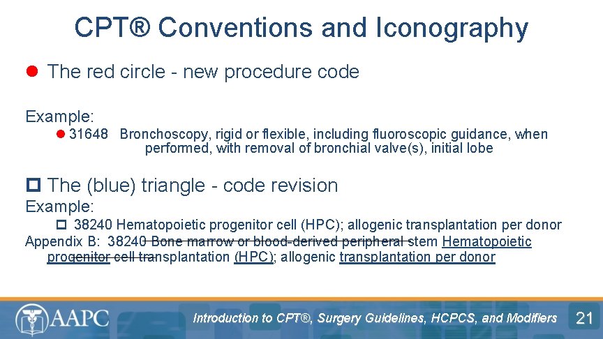CPT® Conventions and Iconography l The red circle - new procedure code Example: l