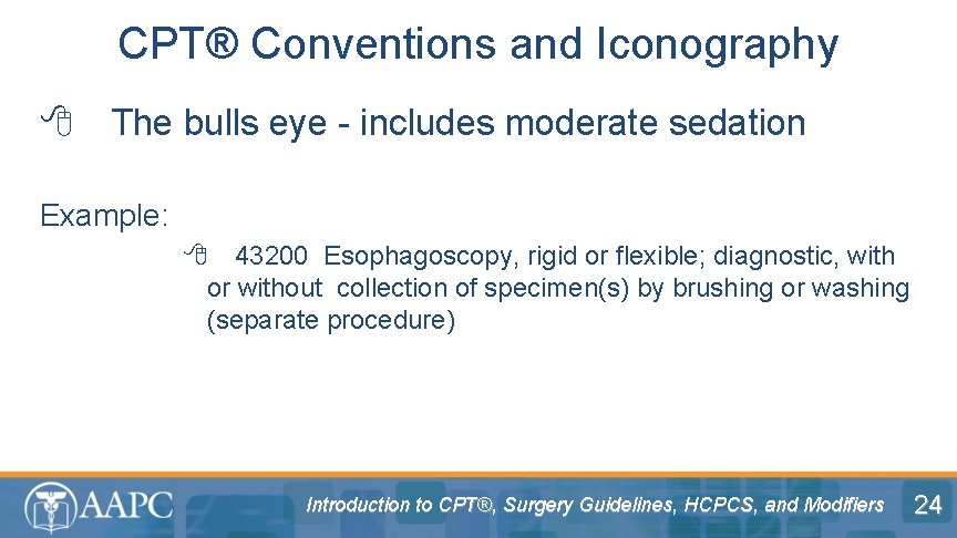 CPT® Conventions and Iconography 8 The bulls eye - includes moderate sedation Example: 8